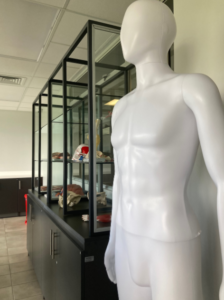 Integrated structure and function laboratory where students in the different professions are brought together for a dynamic experience of learning and discovery